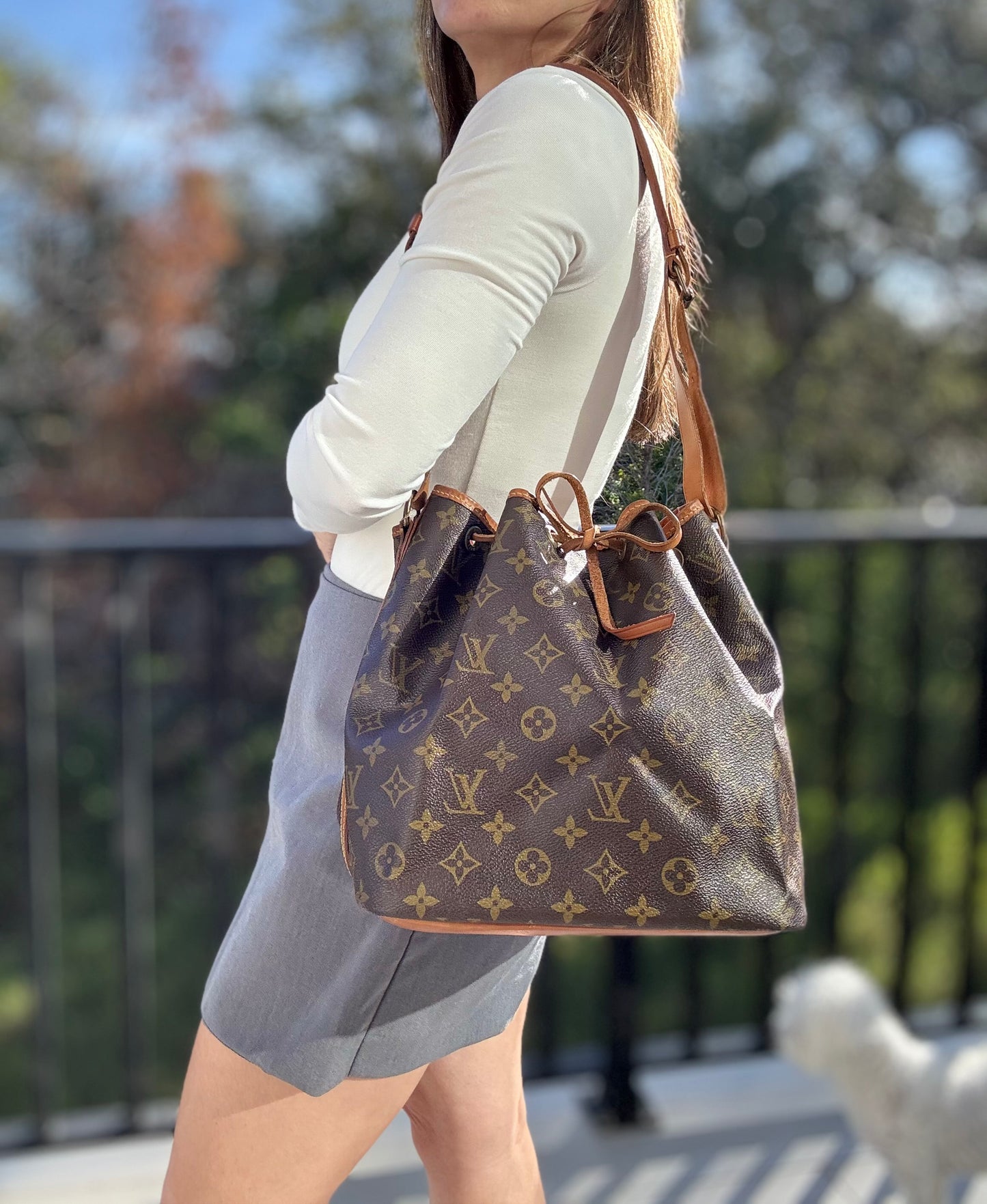 Louis Vuitton Petit Noé Monogram