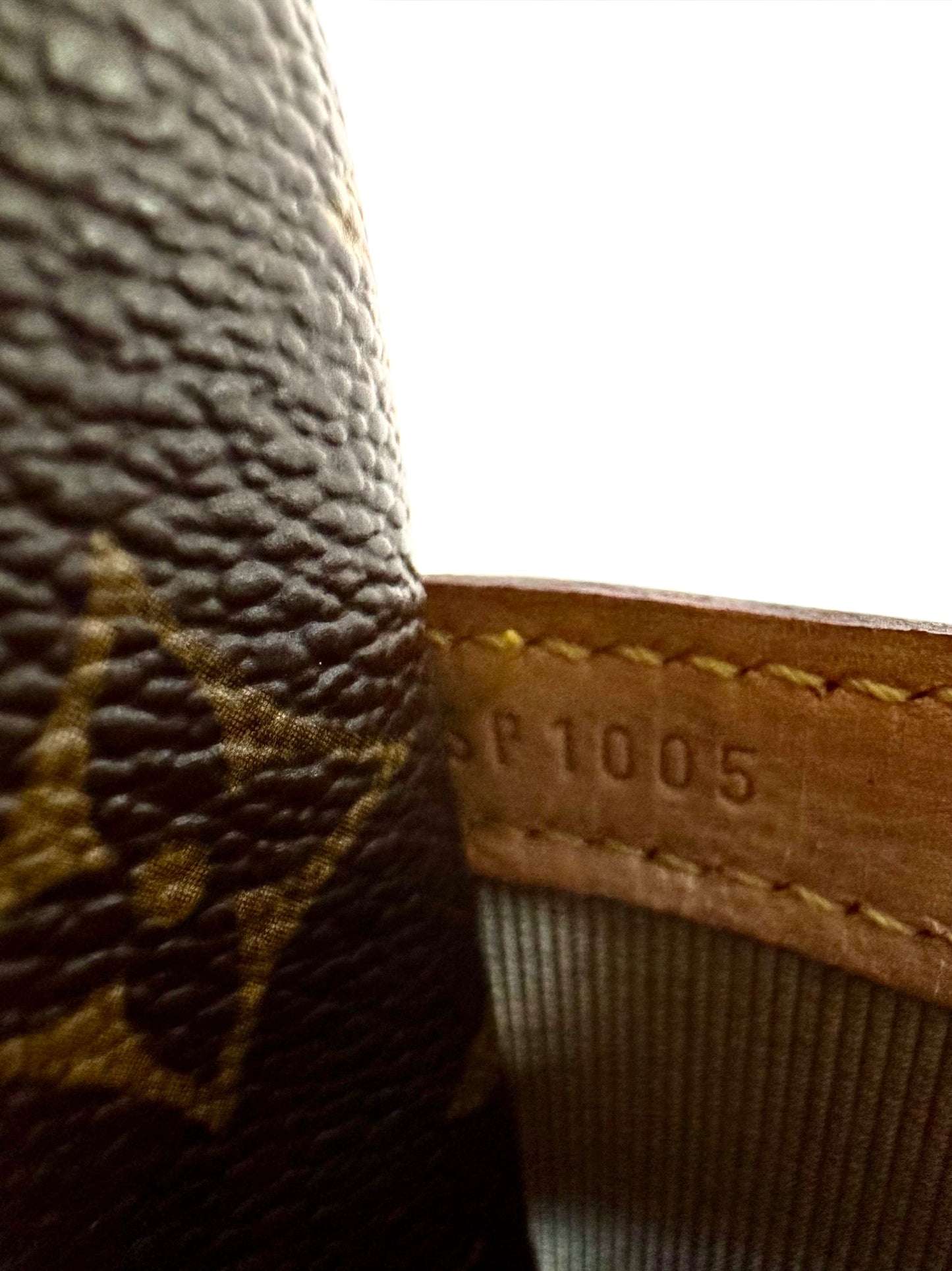 Louis Vuitton Reporter PM Monogram
