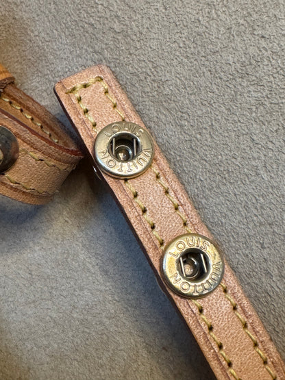 Louis Vuitton Pochette Twin GM Monogram